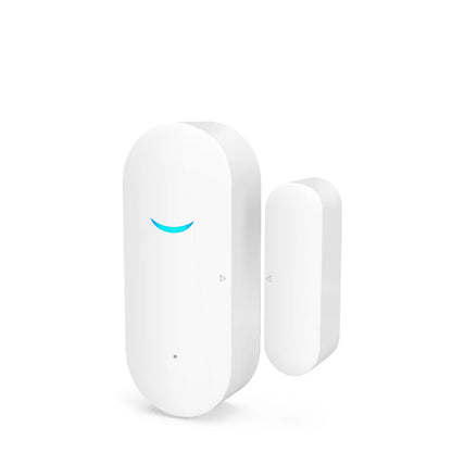 TAIBOAN Tuya Wifi Door Sensor Smart APP Window Sensor Alarm Detector Independent Magnetic Sensor Work with Alexa Google Home