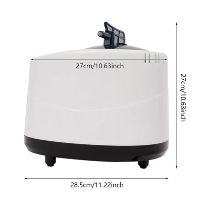 Mini Sauna Steam Generator Gas Injection Machine Home Steam Mobile Sauna Heat Abin SPA with Timer 9-Speed 3L 1000W
